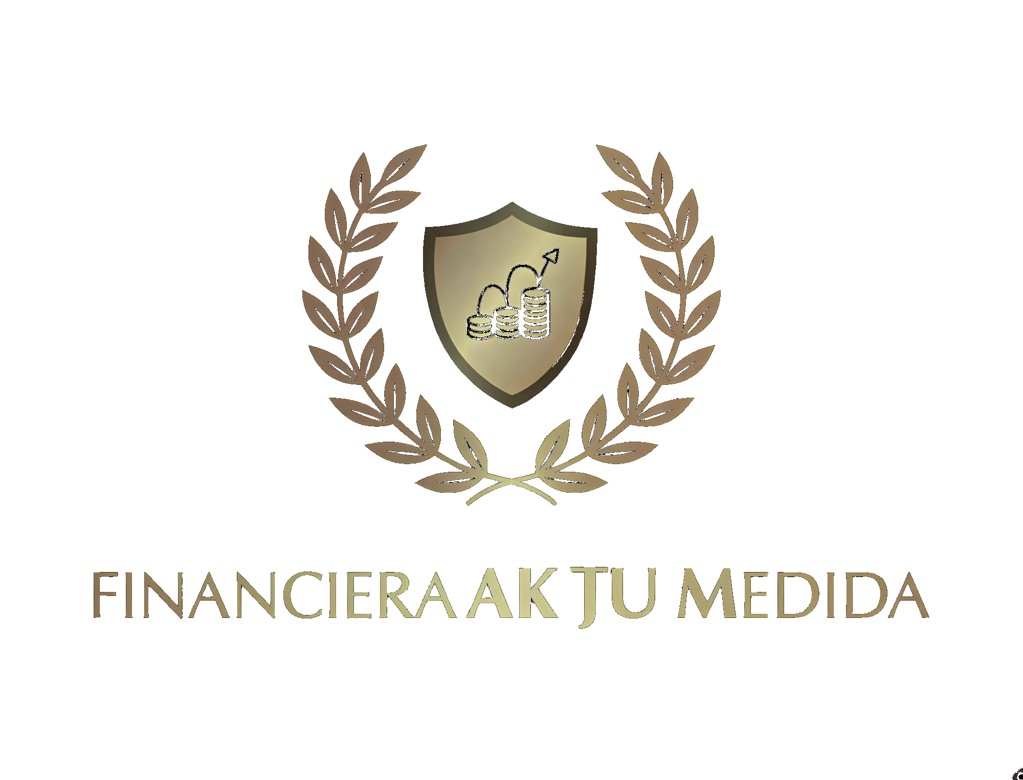 Financiera AK Tu Medida